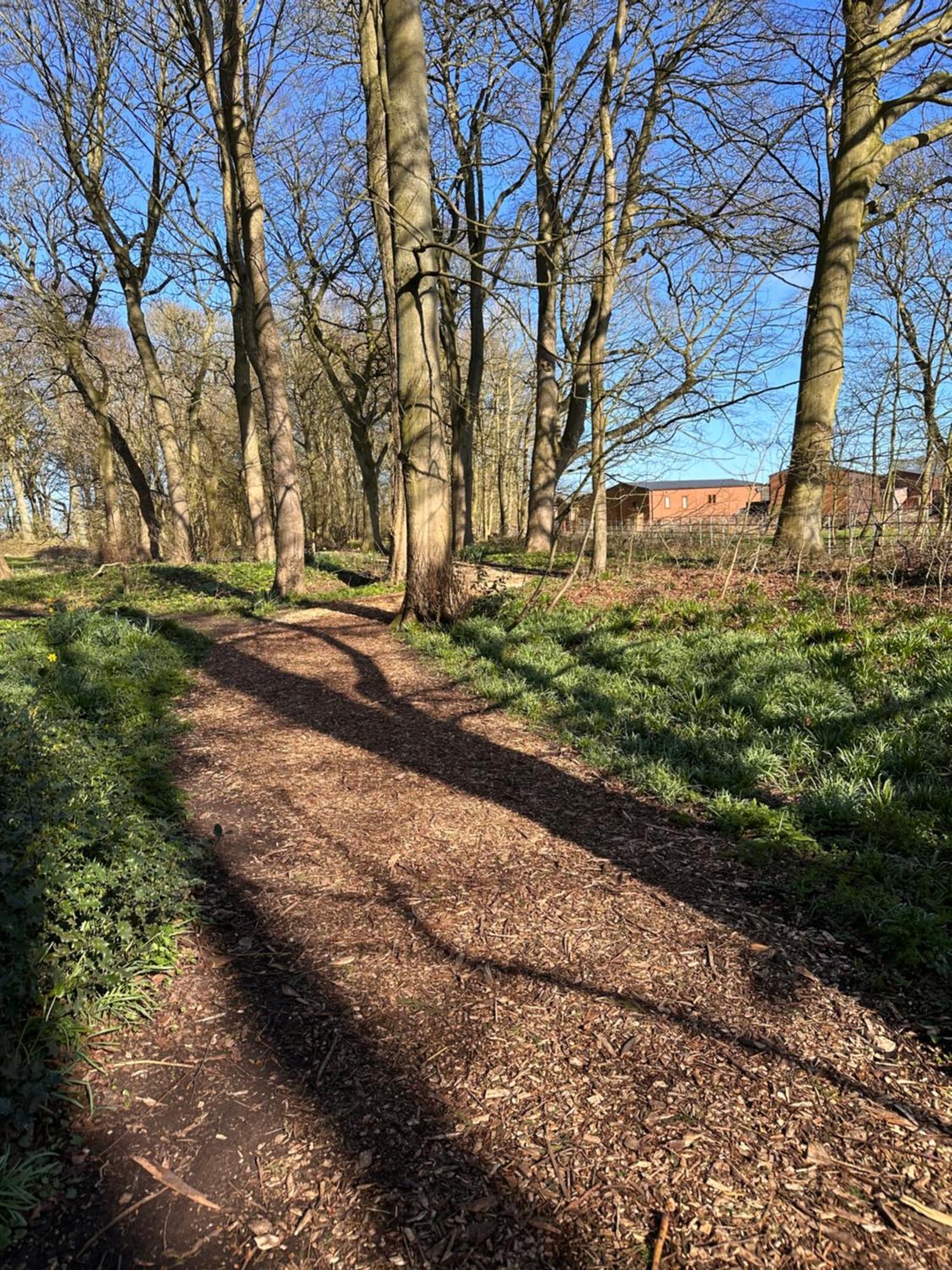 Max'S Woodland Lodge Bridlington Εξωτερικό φωτογραφία