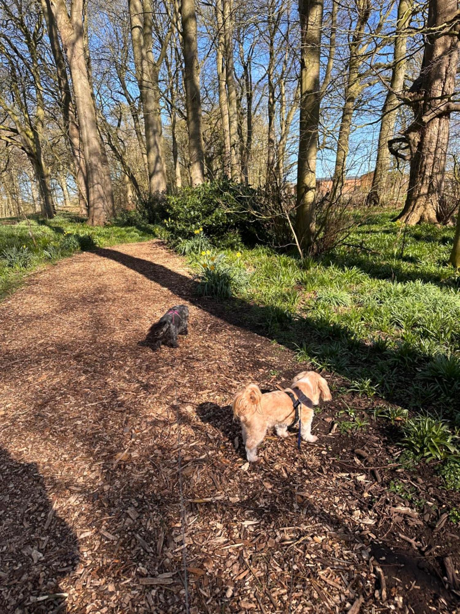 Max'S Woodland Lodge Bridlington Εξωτερικό φωτογραφία