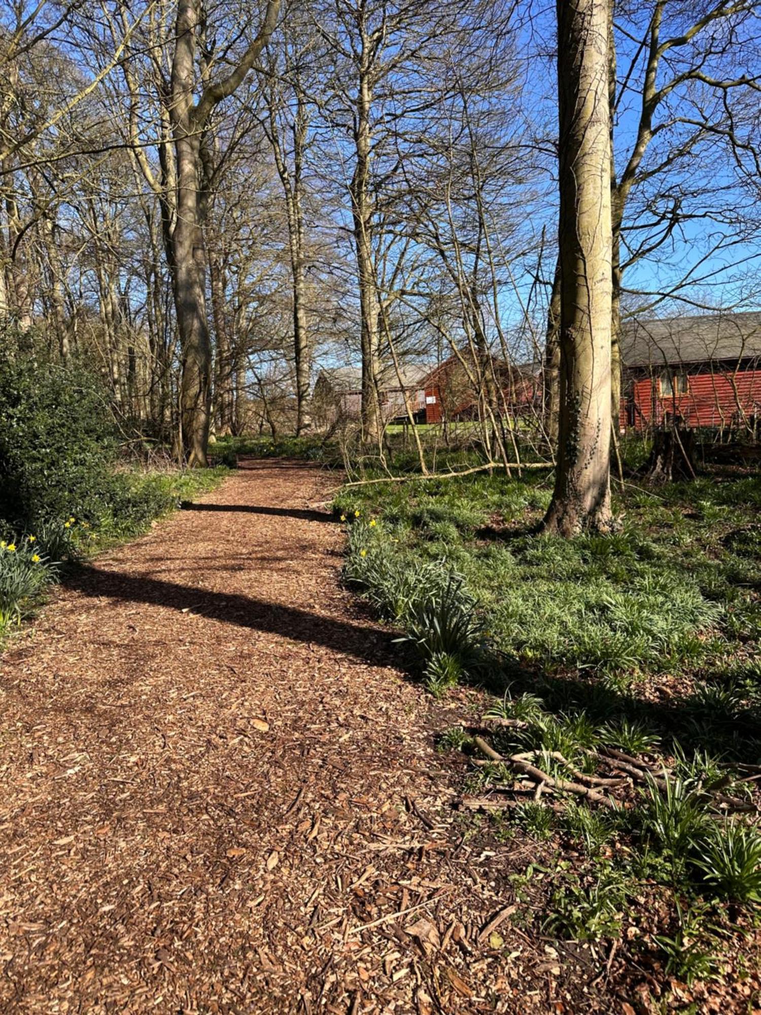 Max'S Woodland Lodge Bridlington Εξωτερικό φωτογραφία